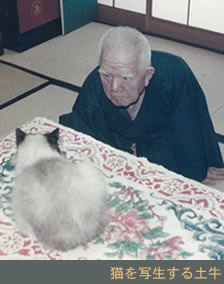 猫を写生する土牛