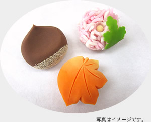 和菓子イメージ