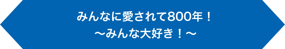 みんなに愛されて800年！～みんな大好き！～