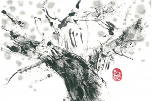 SKMBT_C45116090916181